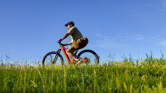 Vapaus_Spring_2024_C (1)